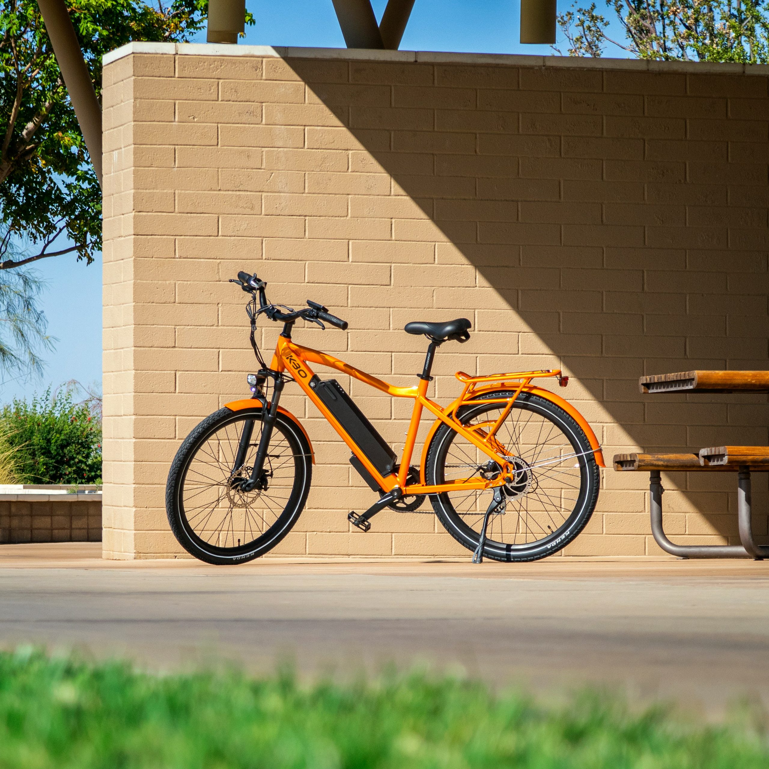 electric bike standing next to trail